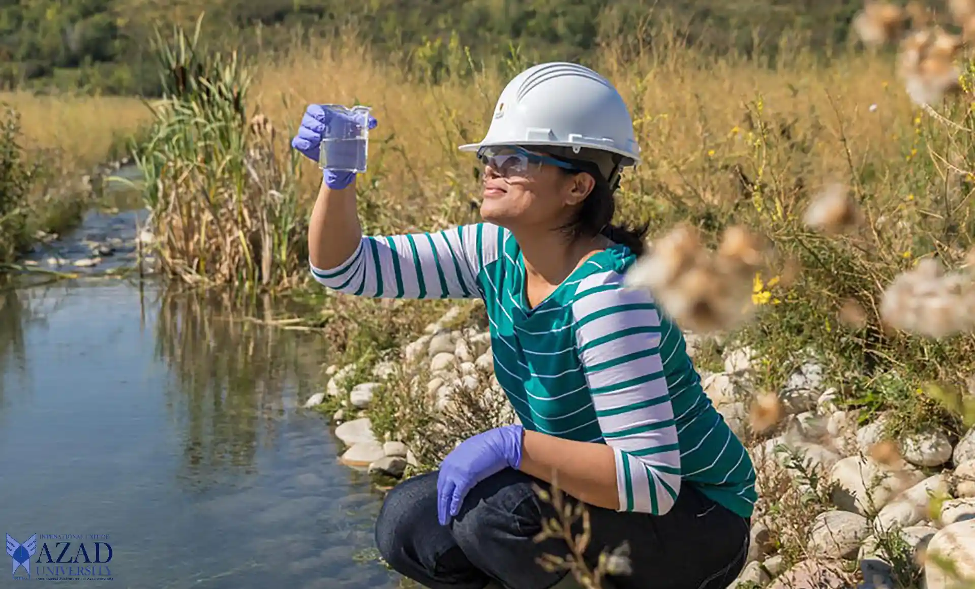 Azad University Environmental Engineering: Unlock the Mysteries