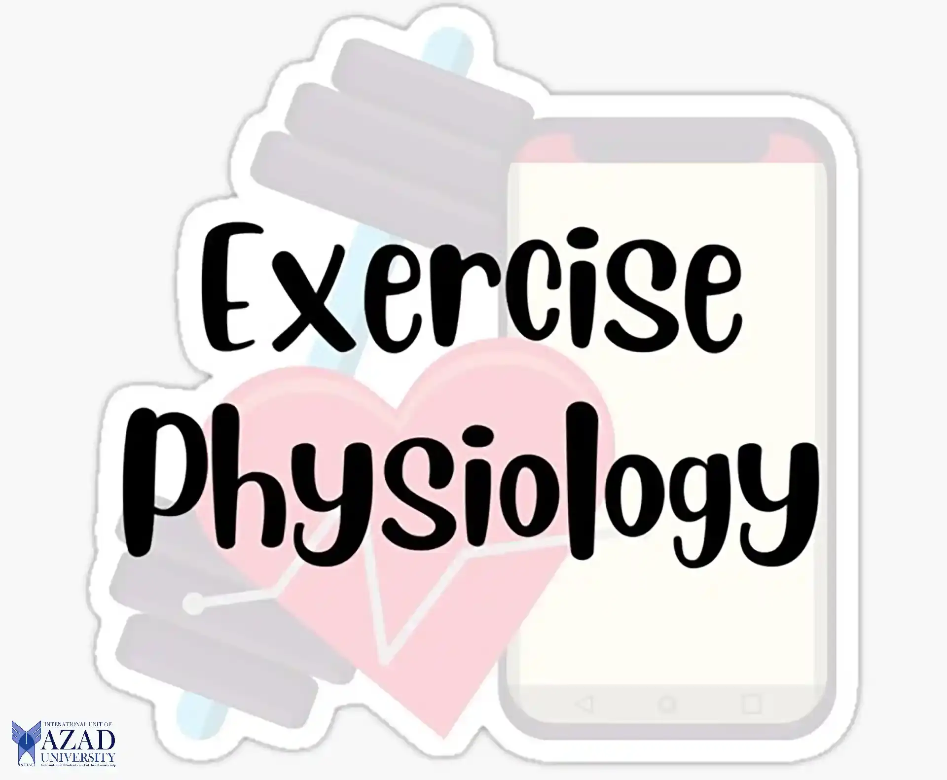 Understanding the Basics of Exercise Physiology