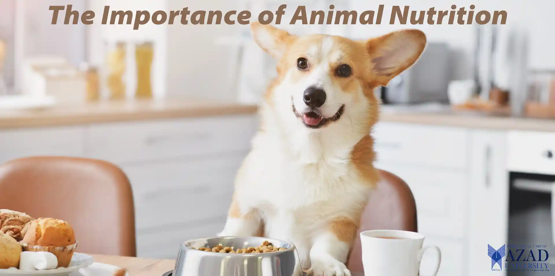 Azad University Animal Nutrition: The Essentials 