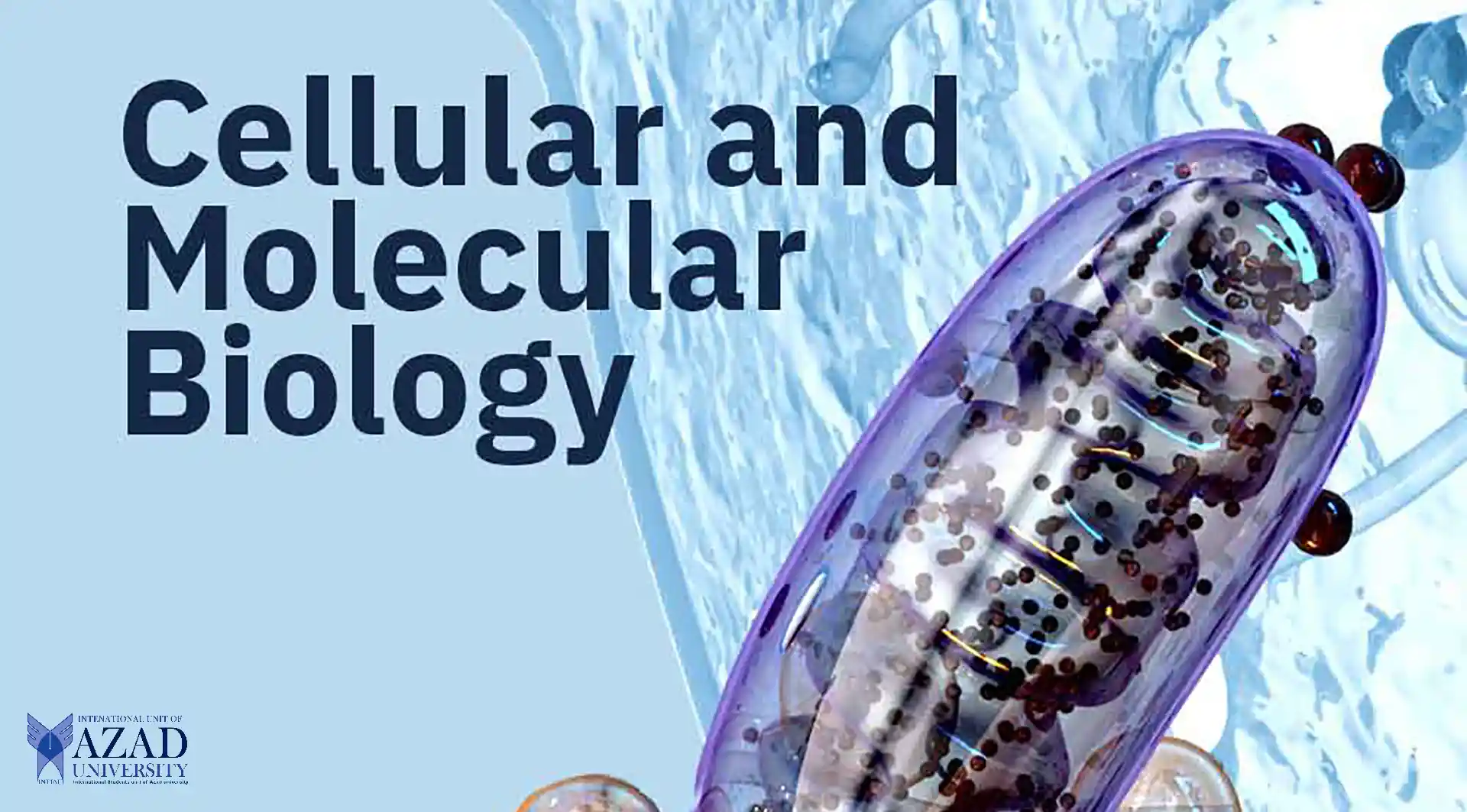 Cellular and Molecular Biology at Azad University