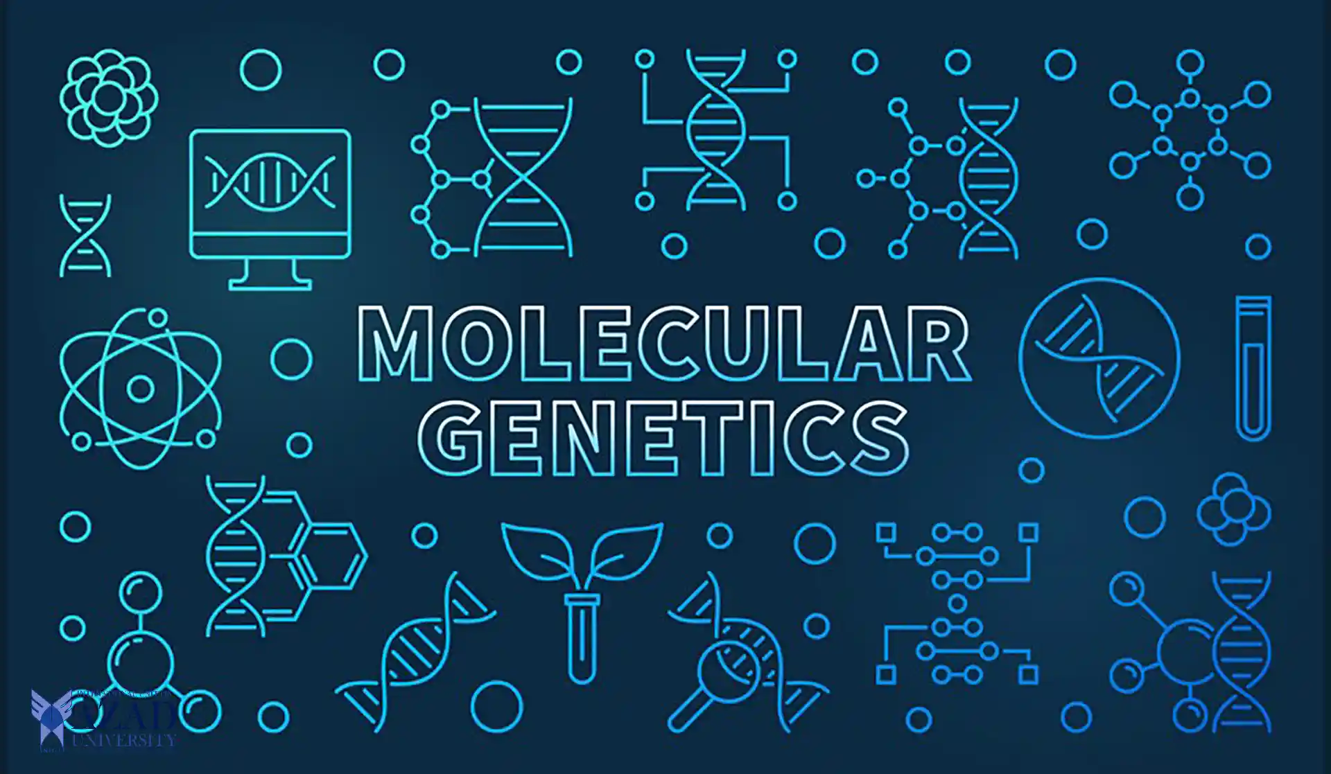 Molecular Genetics: Discovering the Fascinating World of Life