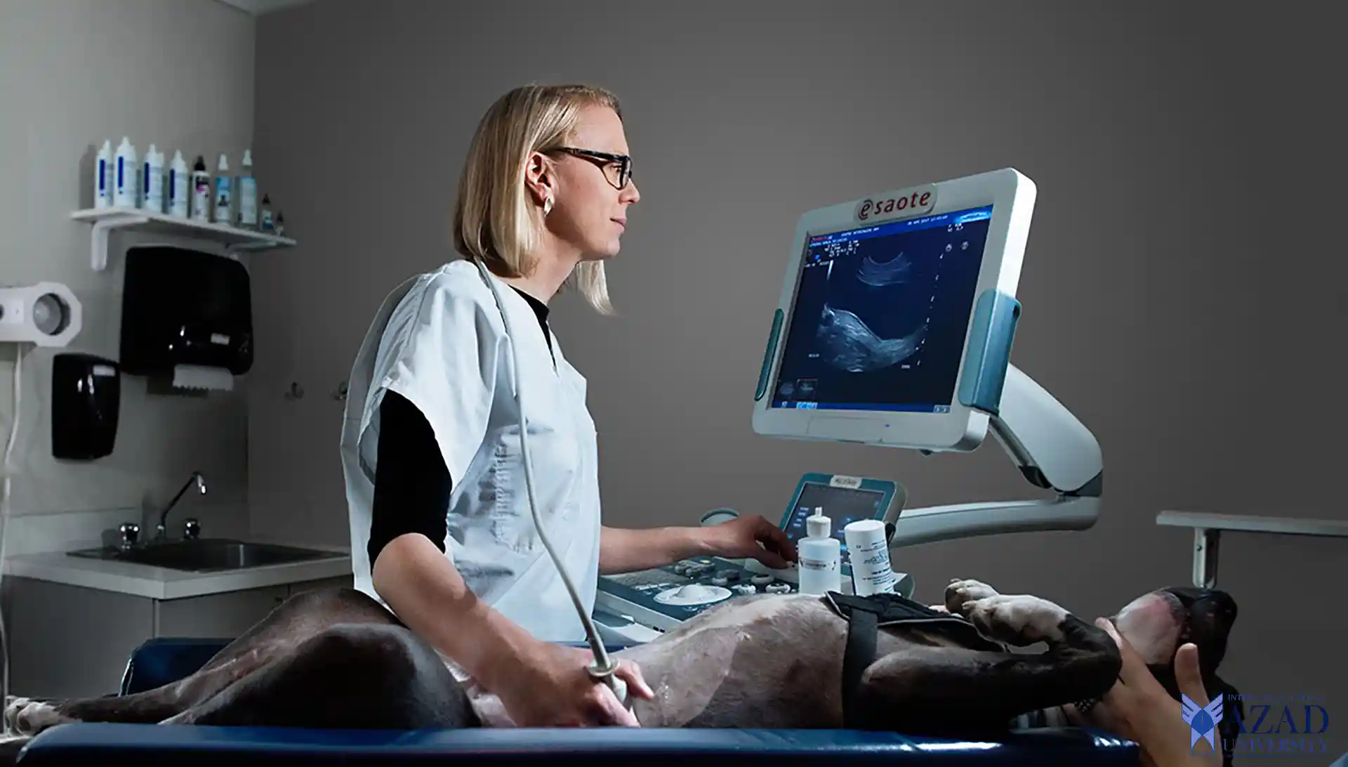 Veterinary Radiology: Introduction to Animal Care 