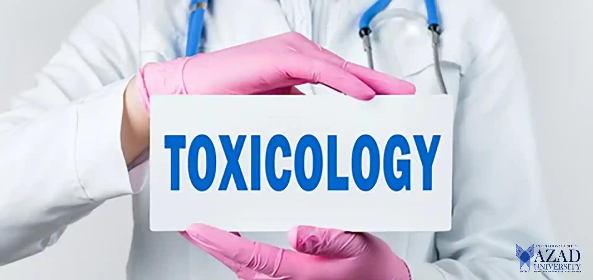 Pursue a toxicology transformative academic journey