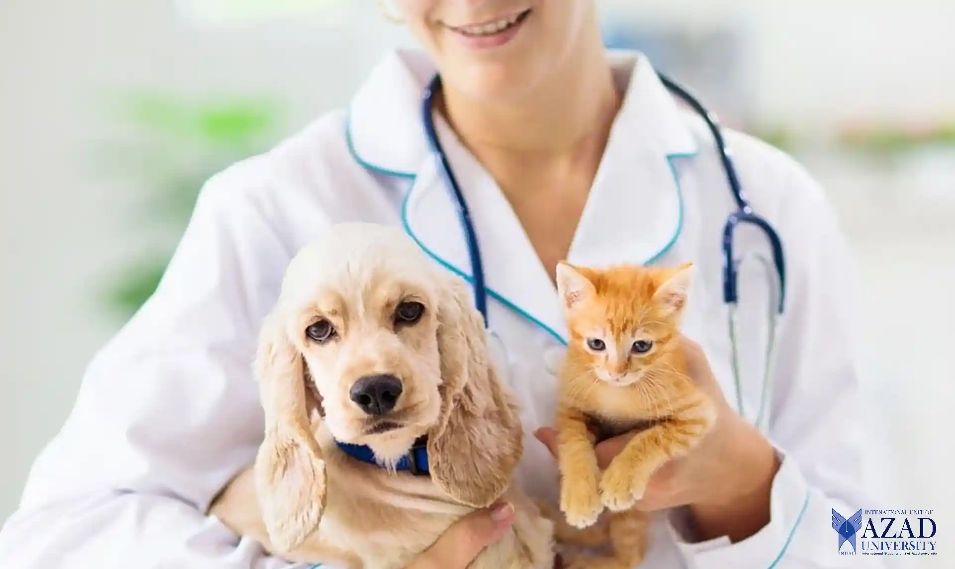 Advancing Animal Health through INTIAU Veterinary medicine