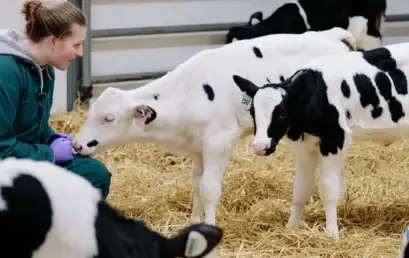 Kurs Tierproduktionstechnologie der Azad-Universität