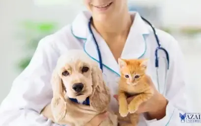 INTIAU Veterinärmedizin