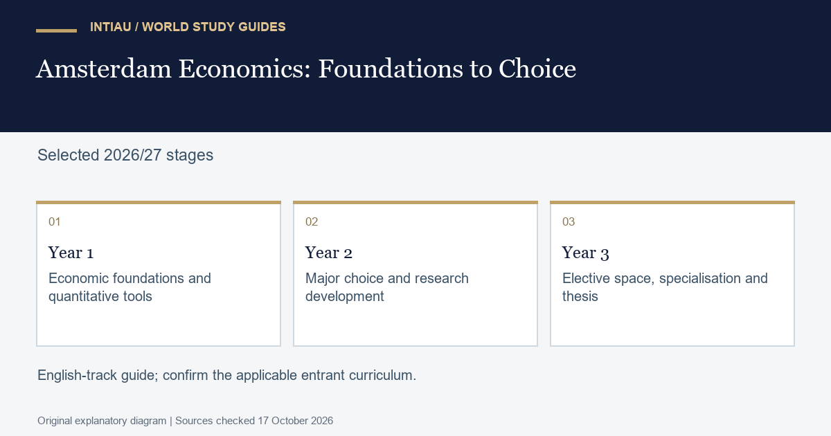 Three cards connect common economic preparation with a major choice and later independent study, leaving the student's detailed course selection open.