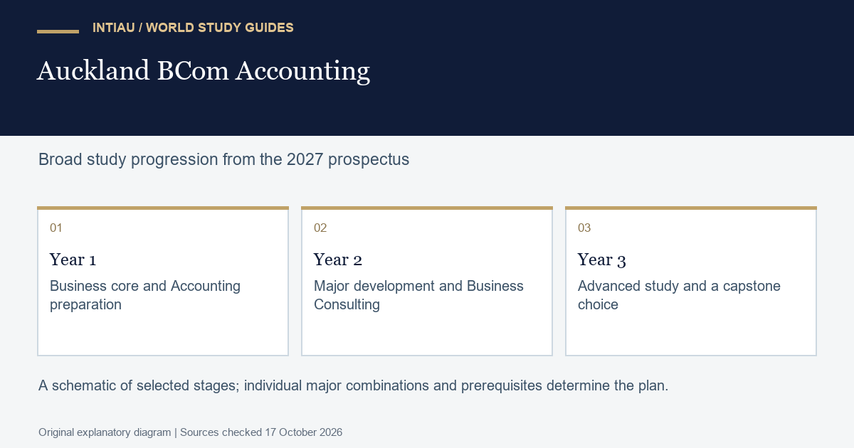 Three connected cards outline a business student's movement from shared foundations to focused study and a final applied learning stage.