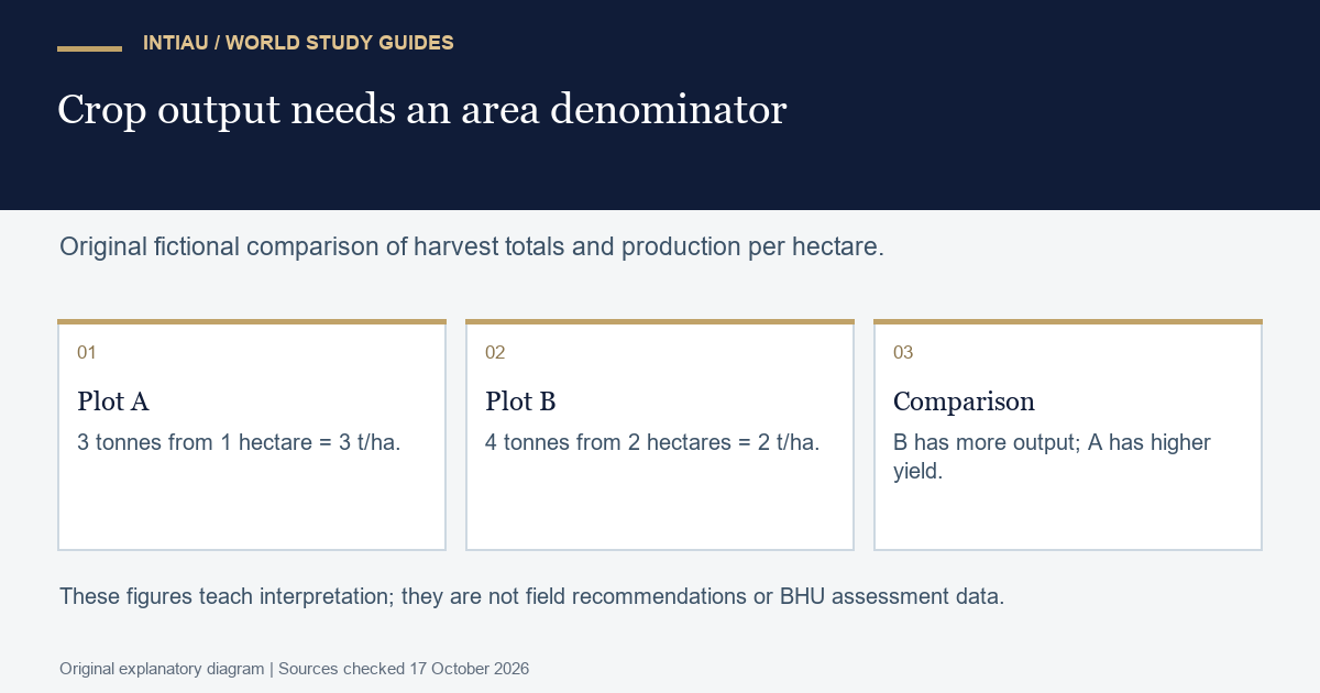 Original diagram comparing two fictional plots, distinguishing a larger total harvest from a higher yield per hectare and explaining the denominator.