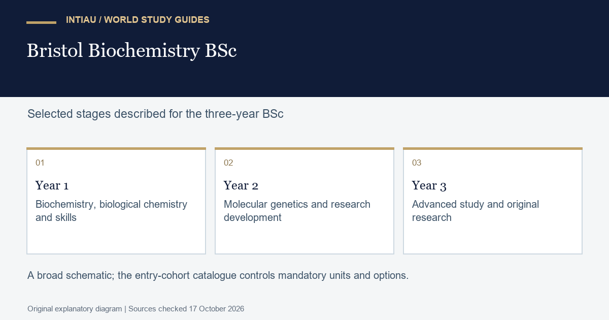 Three cards connect molecular foundations with developing research practice and a final investigation, without presenting a complete unit timetable.