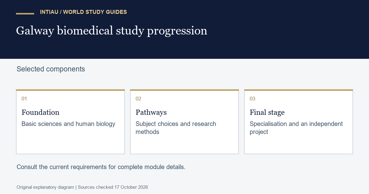 Three cards connect broad foundations, subject pathways and a final investigation, showing increasing focus without specifying a particular research topic.