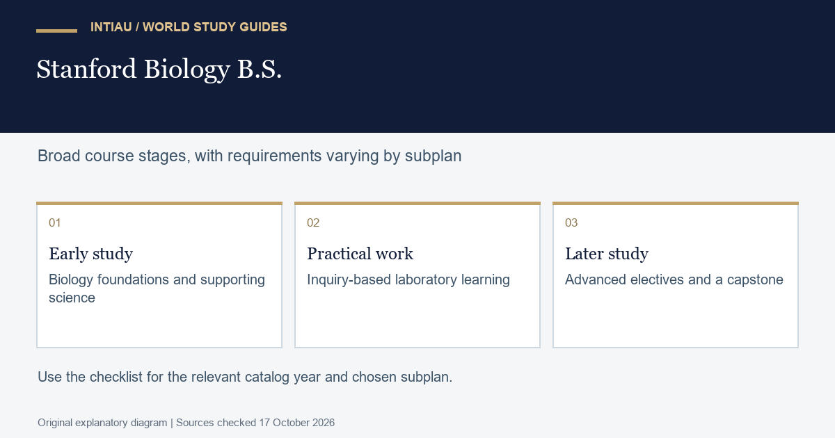 Three cards connect early preparation, practical investigation and later study, illustrating how different kinds of learning contribute to one degree.