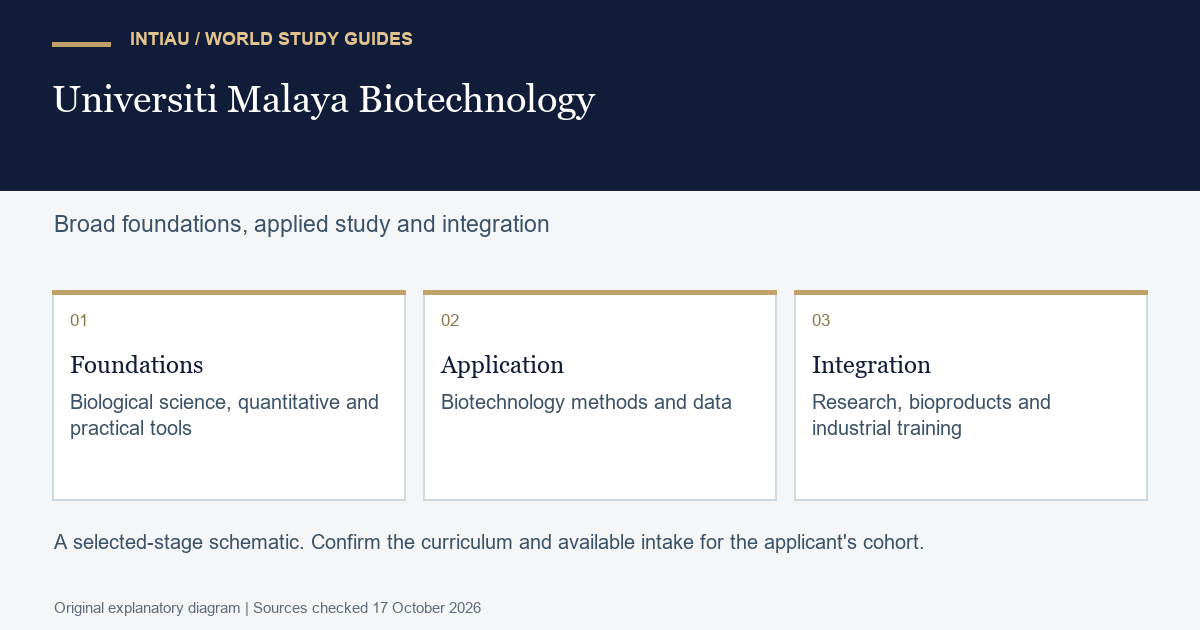 Three connected cards trace a biotechnology student's broad movement from foundational tools to applied investigation and integration with research and industry.