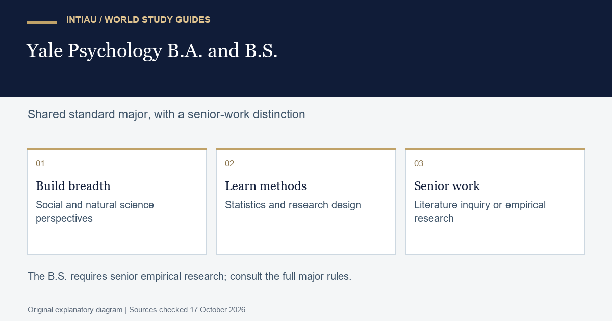 Three cards link broad perspectives, research preparation and a final inquiry, showing a shared path before the senior-work decision.
